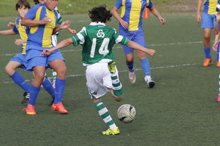 开运体育-中国足球高密度传控战术回合成功统计，中国足球高密度传控战术回合成功统计